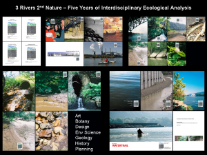 3r2n-interdisciplinary-analysis