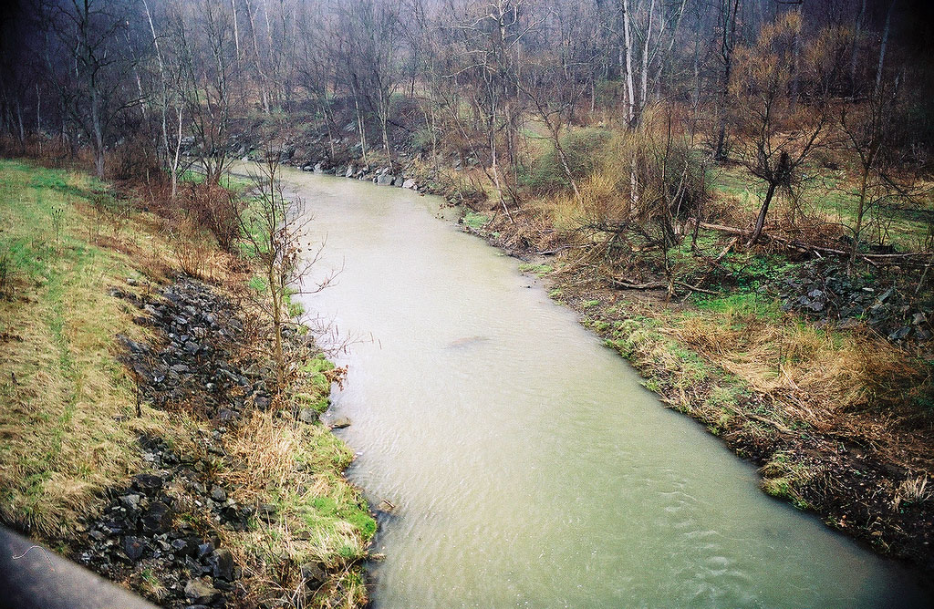 Nine Mile Run: a pale stream between grassy, slag-strewn banks in a leafless winter wood