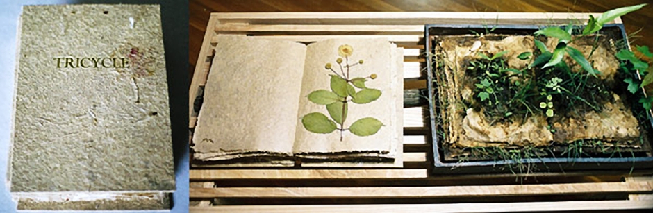 an environmental artwork by Reiko Goto about growing seeds out of handmade paper