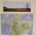 Eden3: Trees are the Language of Landscape