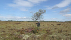 Reiko Goto talking to Dave Spence about “HAKOTO Portach Bog”