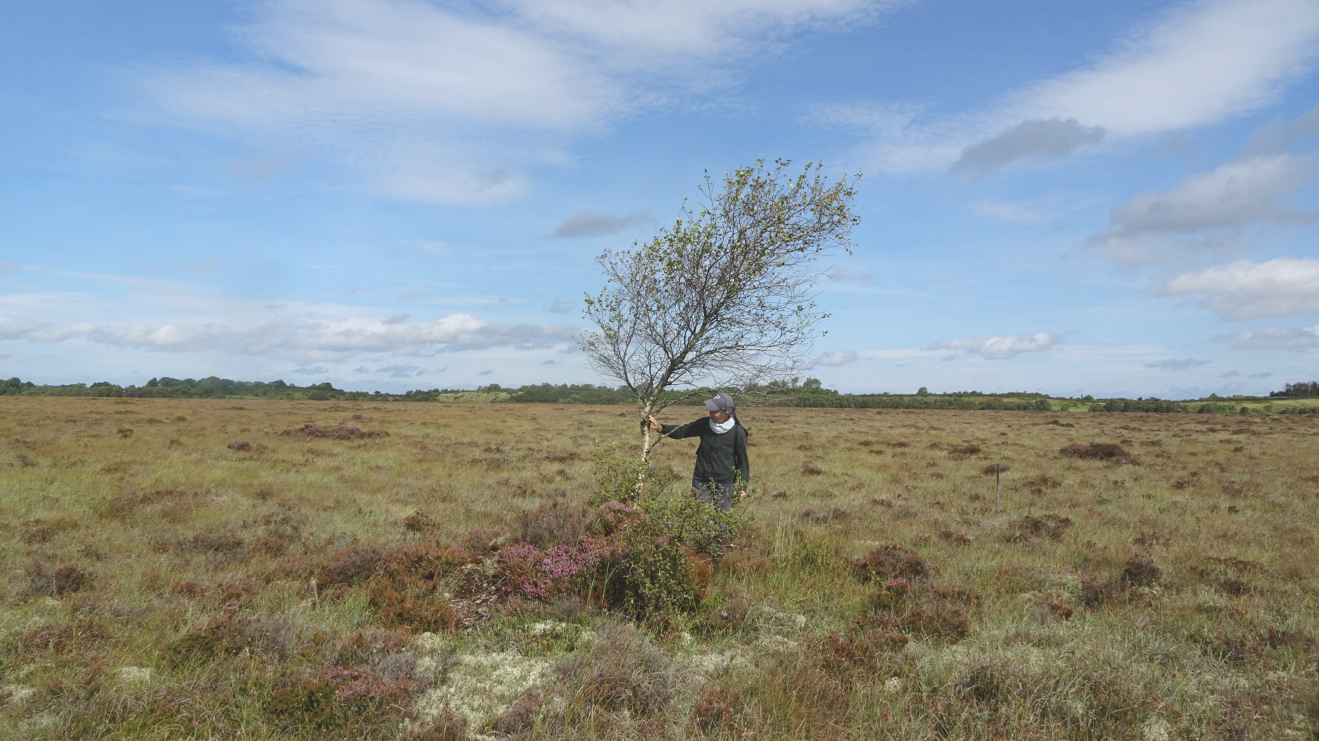 Artist Reiko Goto in an Irish Bog