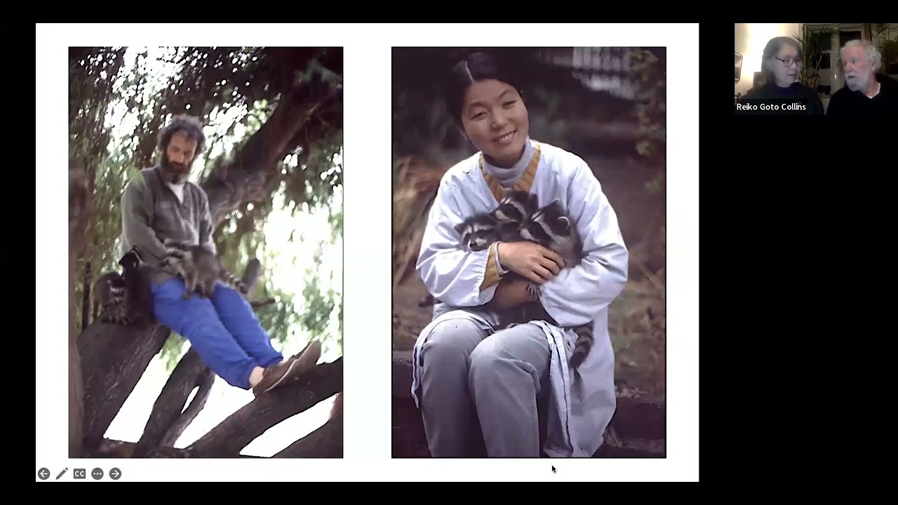 Early photographs of Tim Collins and Reiko Goto with raccoons, shown during The Art of Empathy conversation with WEAD (video still).