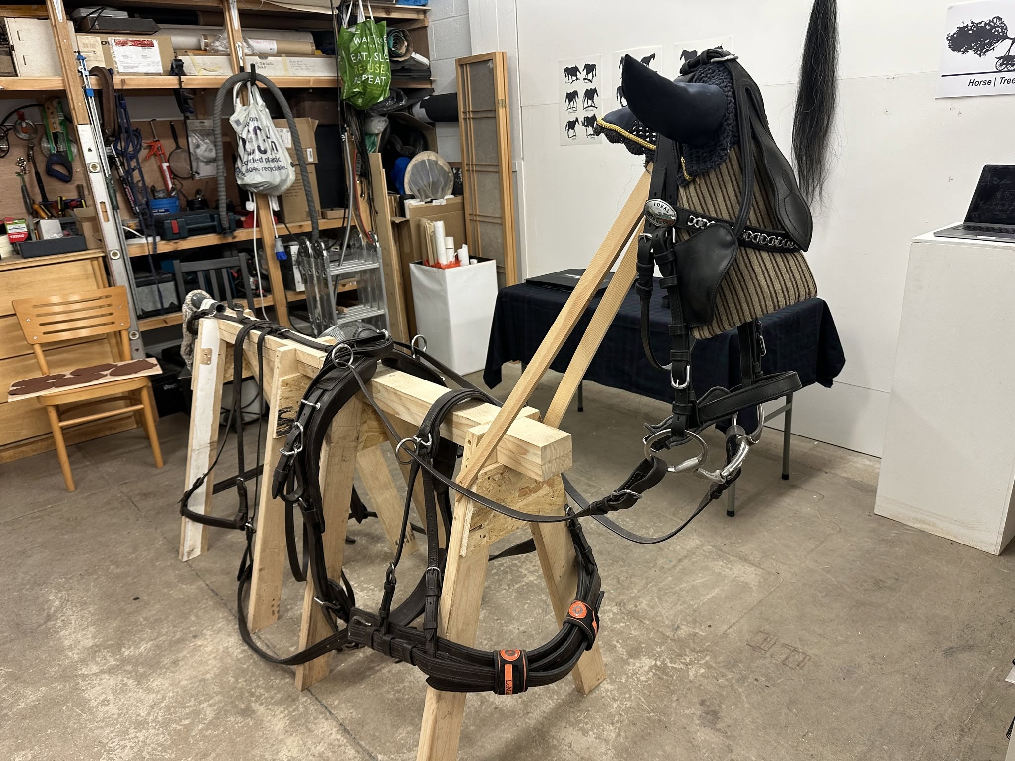 A driving harness and bridle hung on a wooden sawhorse frame in the studio