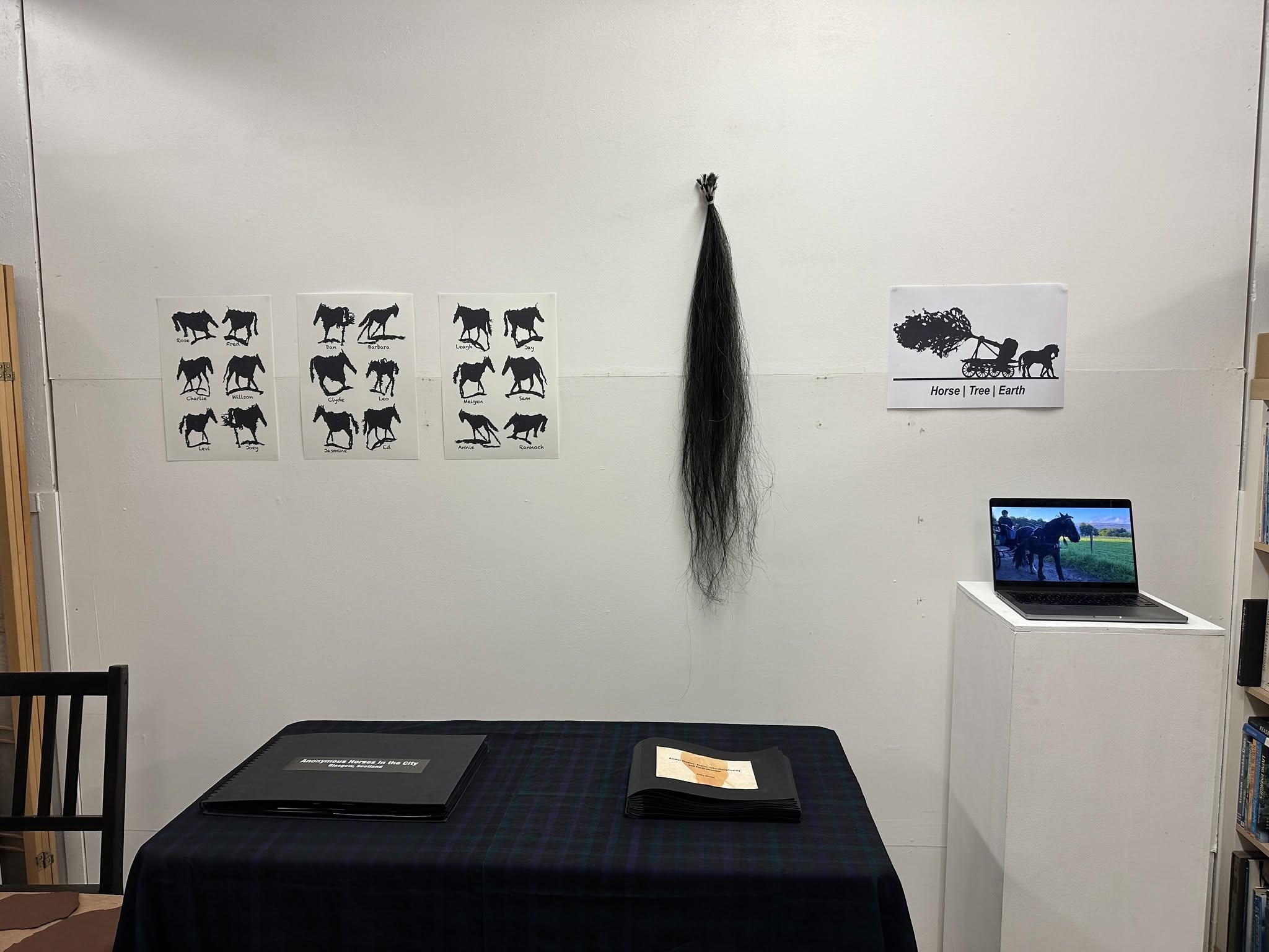 Three sheets of named horse silhouettes, a hanging horse tail and the Horse | Tree | Earth graphic on a white wall, above a table with two albums and a laptop showing a horse and carriage