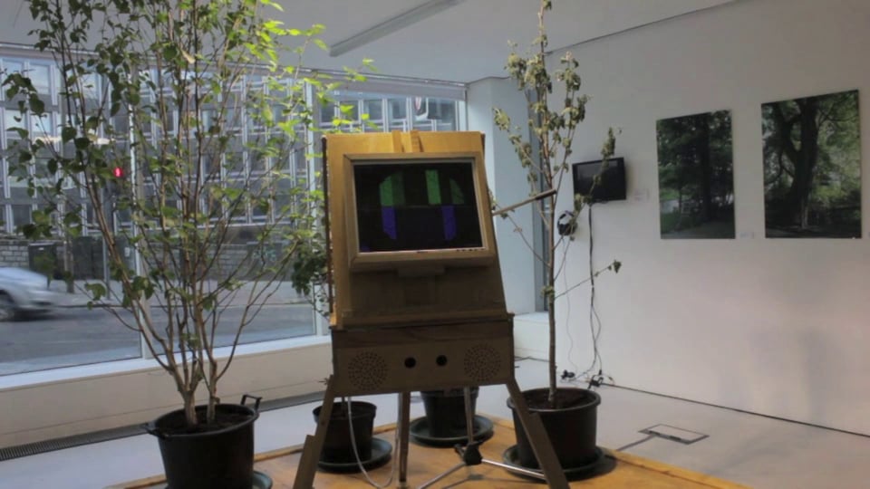 The PLEIN AIR instrument between two potted trees in the Tent Gallery, Edinburgh College of Art, 2013 (video still).